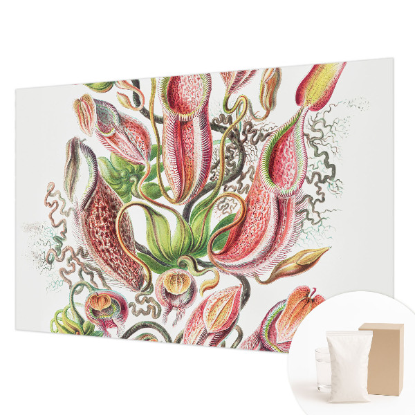 Fotostat Plantedetaljer