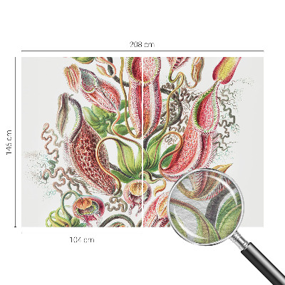 Fotostat med planteillustrationer og detaljeret tryk