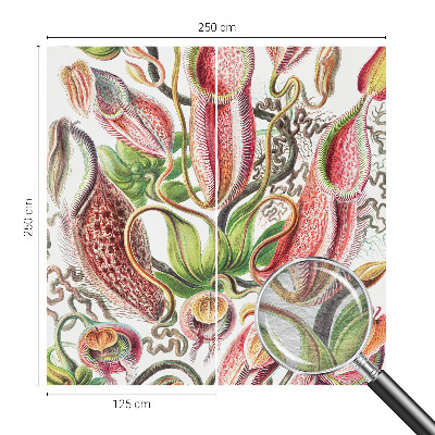 Fotostat med planteillustrationer og detaljeret tryk