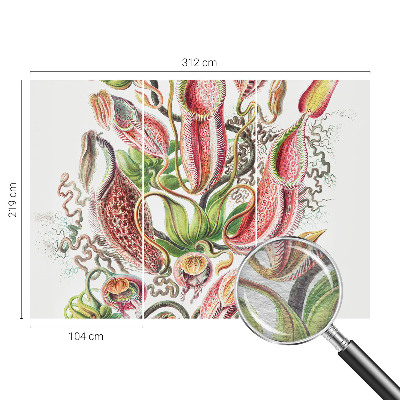 Fotostat med planteillustrationer og detaljeret tryk