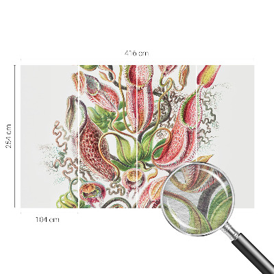 Fotostat med planteillustrationer og detaljeret tryk