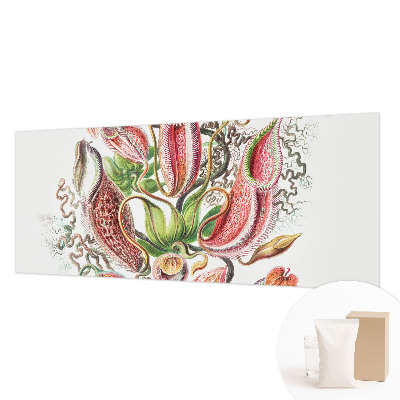 Fotostat med planteillustrationer og detaljeret tryk