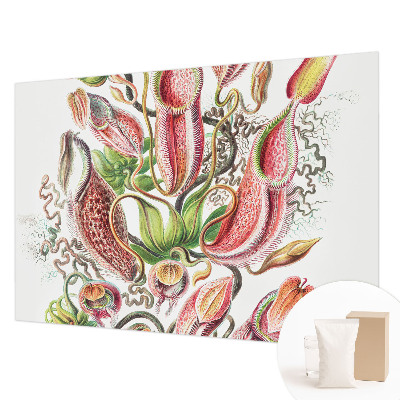 Fotostat Plantedetaljer