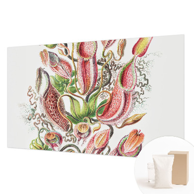 Fotostat med planteillustrationer og detaljeret tryk