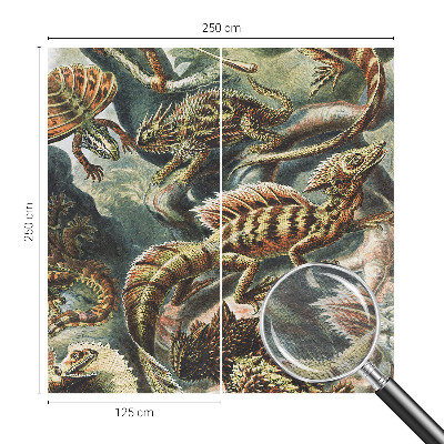 Fotovæg Eksotiske krybdyr