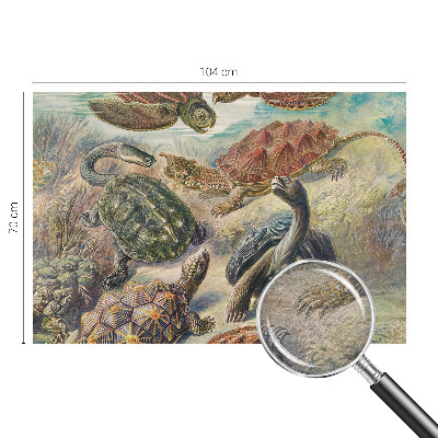 Tapet væg med motiv af skildpaddefauna