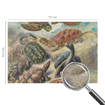 Tapet væg Skildpaddefauna