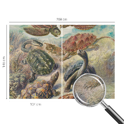 Tapet væg Skildpaddefauna