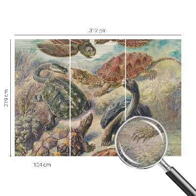 Tapet væg Skildpaddefauna