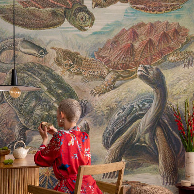 Tapet væg Skildpaddefauna