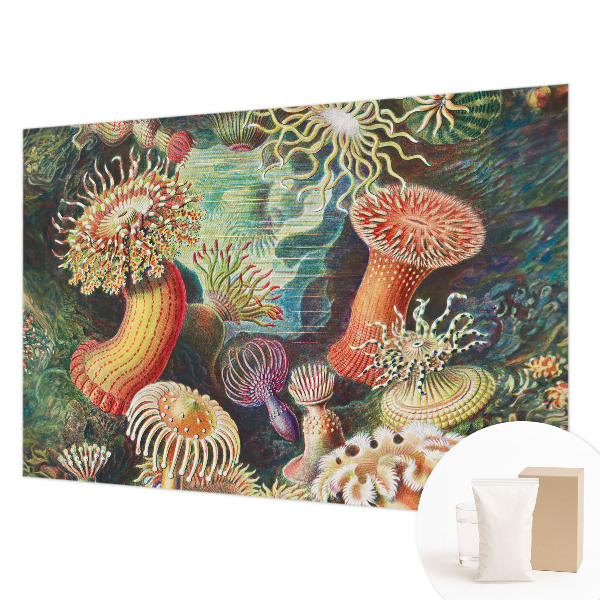 Fototapet stue med motiv af anemoner i et elegant design