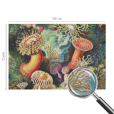 Fototapet stue med motiv af anemoner i et elegant design