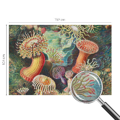 Fototapet stue med motiv af anemoner i et elegant design