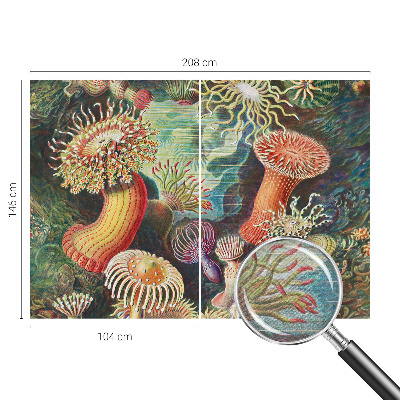 Fototapet stue med motiv af anemoner i et elegant design