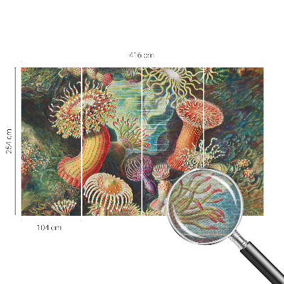 Fototapet stue med motiv af anemoner i et elegant design