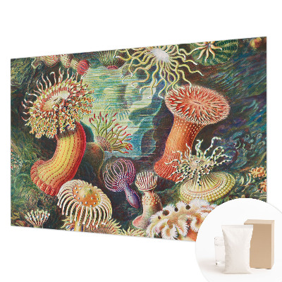 Fototapet stue med motiv af anemoner i et elegant design