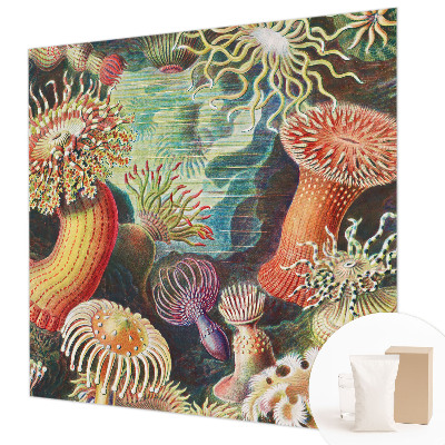 Fototapet stue med motiv af anemoner i et elegant design