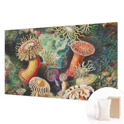 Fototapet stue med motiv af anemoner i et elegant design