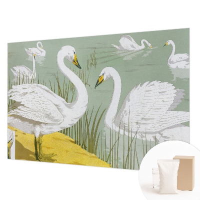 Fototapet soveværelse Svanesøen