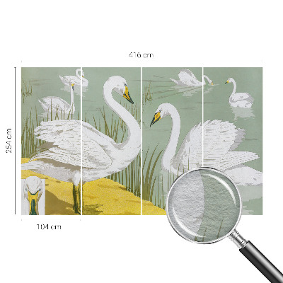 Fototapet soveværelse Svanesøen