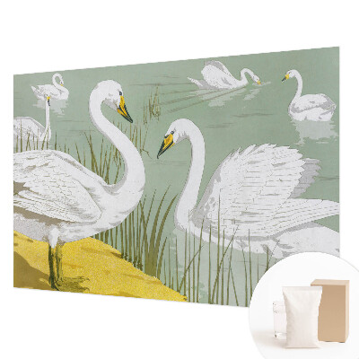 Fototapet soveværelse Svanesøen