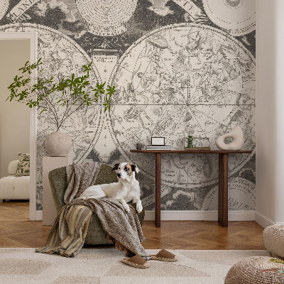 Fototapet til børn Stjernekort