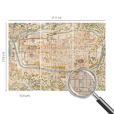 Fotovæg stue Antik kort