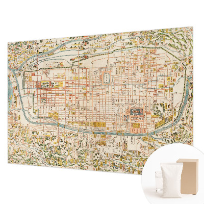 Fotovæg stue Antik kort