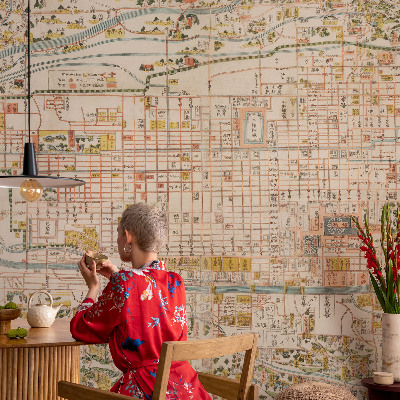 Fotovæg stue Antik kort