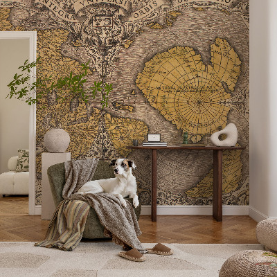 Fototapet på mål Historisk kartografi