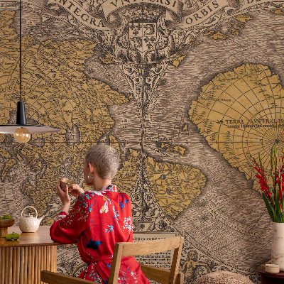 Fototapet på mål Historisk kartografi