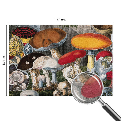 Høj kvalitet fototapet Botaniske svampe