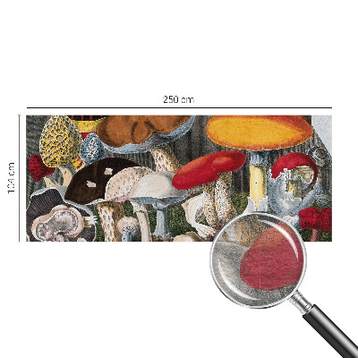 Høj kvalitet fototapet Botaniske svampe