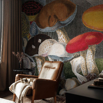 Høj kvalitet fototapet Botaniske svampe