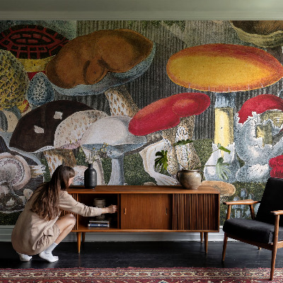 Høj kvalitet fototapet med motiv af botaniske svampe