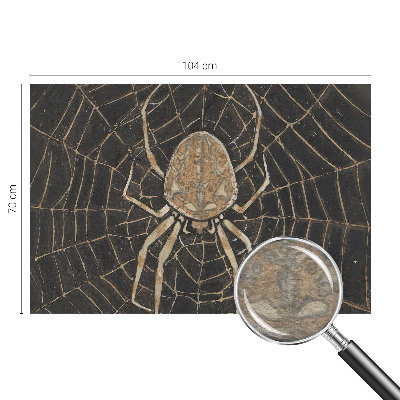 Stor fototapet Edderkoppens spind