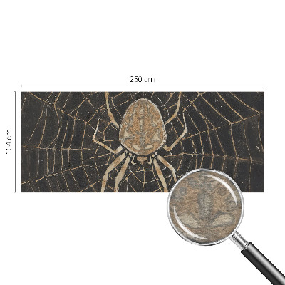 Stor fototapet Edderkoppens spind