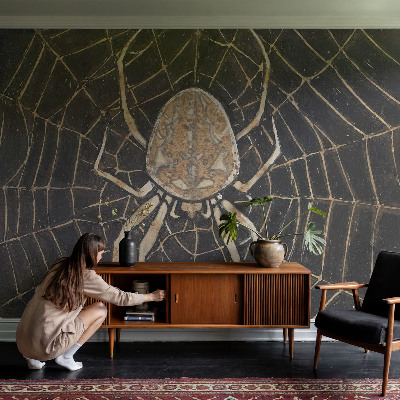 Stor fototapet Edderkoppens spind