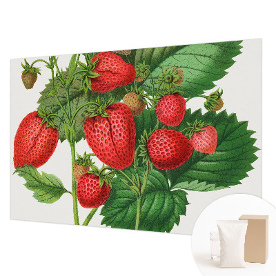 Foto tapet med motiv af sommerfrugter
