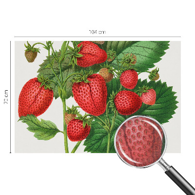 Foto tapet med motiv af sommerfrugter