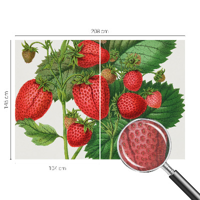 Foto tapet med motiv af sommerfrugter