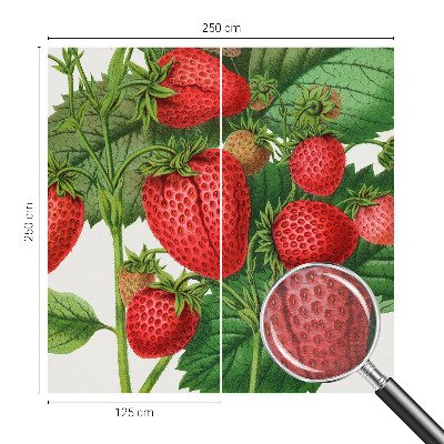 Foto tapet med motiv af sommerfrugter