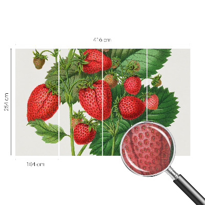 Foto tapet med motiv af sommerfrugter