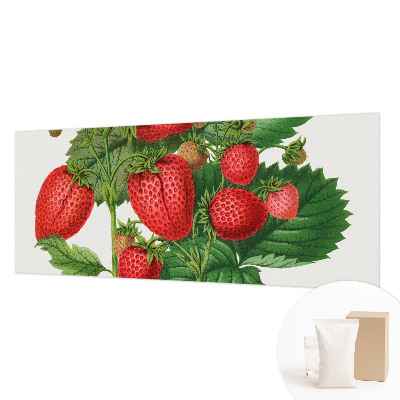 Foto tapet Sommerfrugter