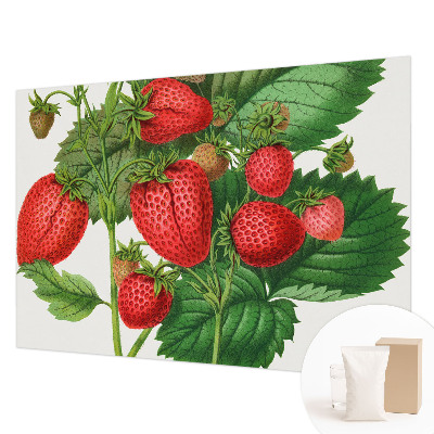 Foto tapet med motiv af sommerfrugter