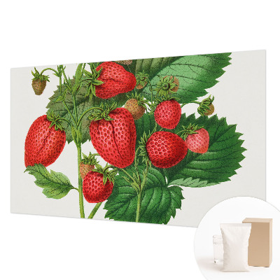 Foto tapet Sommerfrugter
