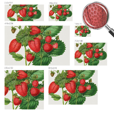 Foto tapet Sommerfrugter