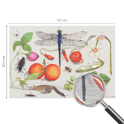 3D fototapet Naturillustration