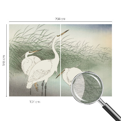 Vlies fototapet Hejrer i græsset