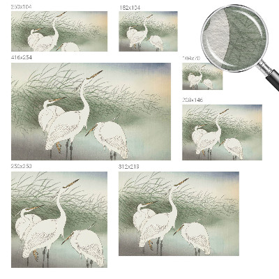 Vlies fototapet Hejrer i græsset